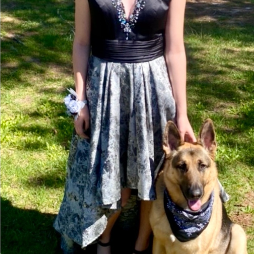 Alfred Angelo Black and Gray High Low Dress